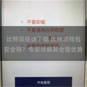 比特派便捷下载 比特派钱包安全吗？专家详解其全面优势