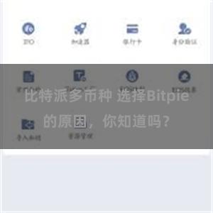 比特派多币种 选择Bitpie的原因，你知道吗？