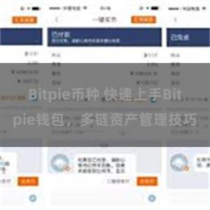 Bitpie币种 快速上手Bitpie钱包，多链资产管理技巧