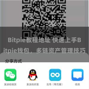 Bitpie教程地址 快速上手Bitpie钱包，多链资产管理技巧