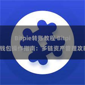 Bitpie转账教程 Bitpie钱包操作指南：多链资产管理攻略