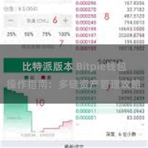 比特派版本 Bitpie钱包操作指南：多链资产管理攻略