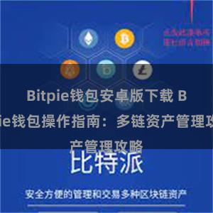 Bitpie钱包安卓版下载 Bitpie钱包操作指南：多链资产管理攻略