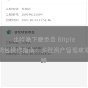 比特派下载免费 Bitpie钱包操作指南：多链资产管理攻略