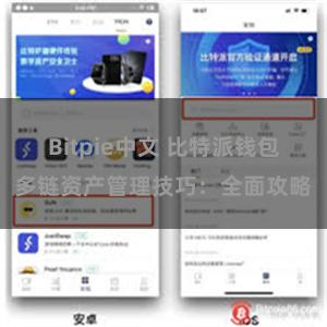 Bitpie中文 比特派钱包多链资产管理技巧：全面攻略