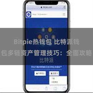 Bitpie热钱包 比特派钱包多链资产管理技巧：全面攻略