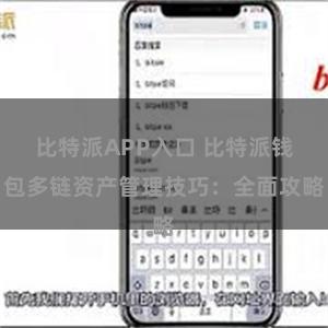 比特派APP入口 比特派钱包多链资产管理技巧：全面攻略