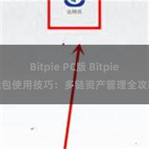 Bitpie PC版 Bitpie钱包使用技巧：多链资产管理全攻略