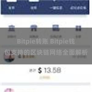 Bitpie转账 Bitpie钱包支持的区块链网络全面解析