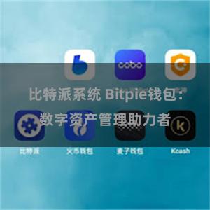 比特派系统 Bitpie钱包：数字资产管理助力者