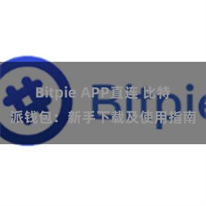 Bitpie APP直连 比特派钱包：新手下载及使用指南