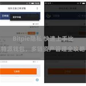 Bitpie隐私 快速上手比特派钱包，多链资产管理全攻略