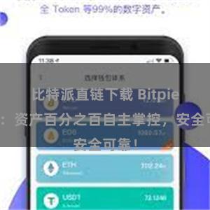 比特派直链下载 Bitpie钱包：资产百分之百自主掌控，安全可靠！