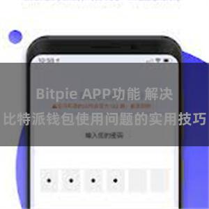 Bitpie APP功能 解决比特派钱包使用问题的实用技巧