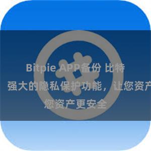 Bitpie APP备份 比特派钱包：强大的隐私保护功能，让您资产更安全