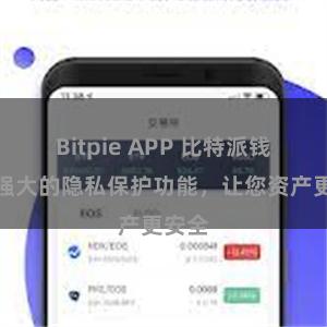 Bitpie APP 比特派钱包：强大的隐私保护功能，让您资产更安全