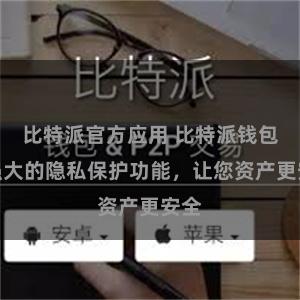 比特派官方应用 比特派钱包：强大的隐私保护功能，让您资产更安全