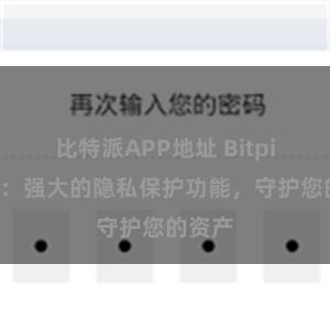 比特派APP地址 Bitpie钱包：强大的隐私保护功能，守护您的资产