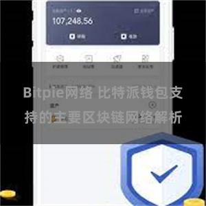 Bitpie网络 比特派钱包支持的主要区块链网络解析