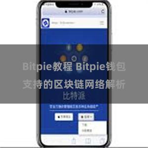 Bitpie教程 Bitpie钱包支持的区块链网络解析