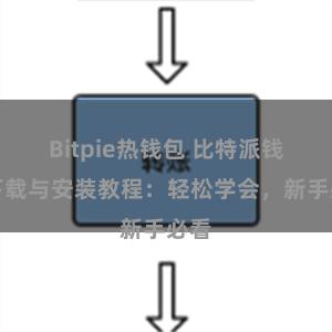 Bitpie热钱包 比特派钱包下载与安装教程：轻松学会，新手必看