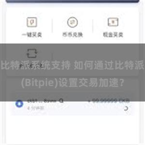 比特派系统支持 如何通过比特派(Bitpie)设置交易加速？