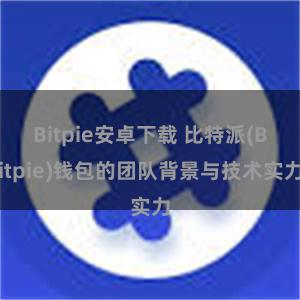 Bitpie安卓下载 比特派(Bitpie)钱包的团队背景与技术实力