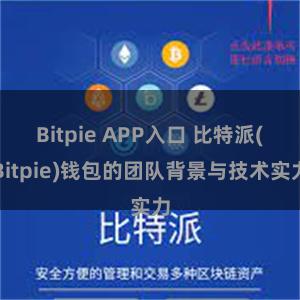 Bitpie APP入口 比特派(Bitpie)钱包的团队背景与技术实力