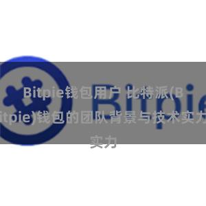 Bitpie钱包用户 比特派(Bitpie)钱包的团队背景与技术实力