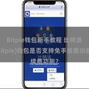 Bitpie钱包新手教程 比特派(Bitpie)钱包是否支持免手续费功能？