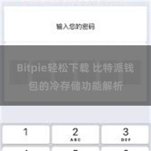 Bitpie轻松下载 比特派钱包的冷存储功能解析