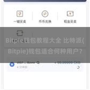 Bitpie钱包教程大全 比特派(Bitpie)钱包适合何种用户？