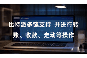 比特派多链支持  并进行转账、收款、走动等操作