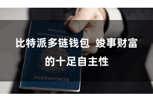 比特派多链钱包  竣事财富的十足自主性