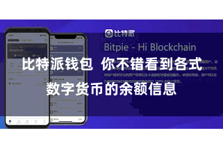 比特派钱包  你不错看到各式数字货币的余额信息
