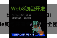 比特派资产自由  Bitpie钱包还有专科的安全团队