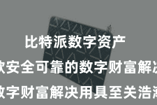 比特派数字资产  领有一款安全可靠的数字财富解决用具至关浩瀚