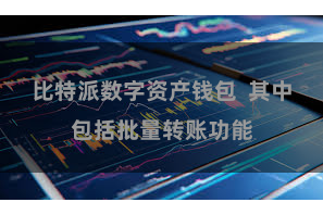 比特派数字资产钱包  其中包括批量转账功能