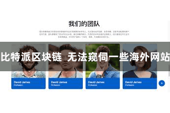 比特派区块链  无法窥伺一些海外网站