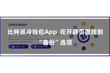比特派冷钱包App  在开辟页面找到“备份”选项