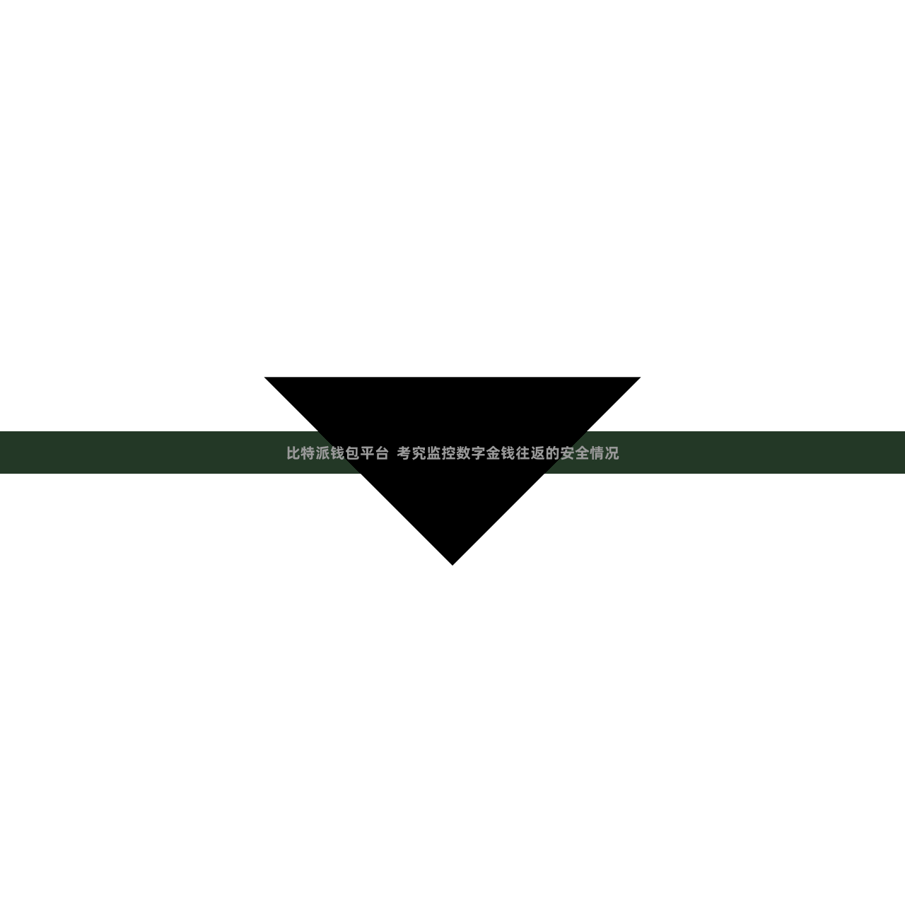 比特派钱包平台  考究监控数字金钱往返的安全情况